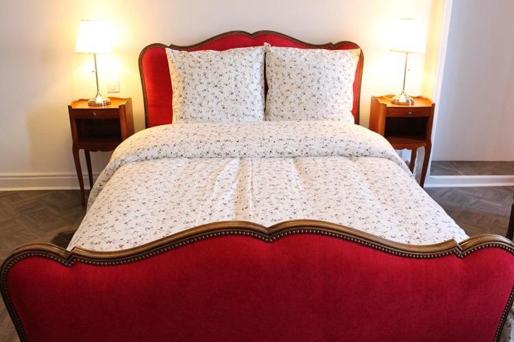 Le Napoleon Hotell Luxeuil-les-Bains Eksteriør bilde